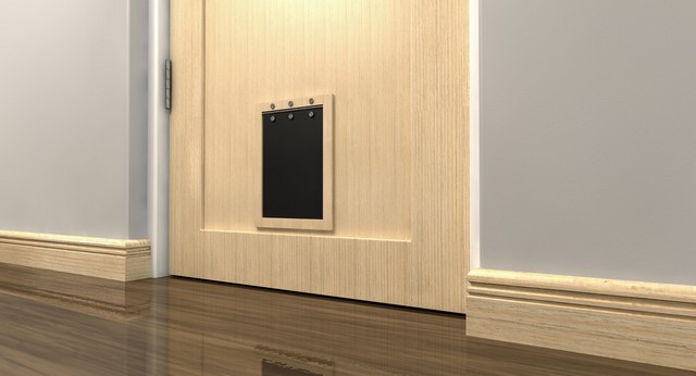 Cat Flap Installation Ealing, W5