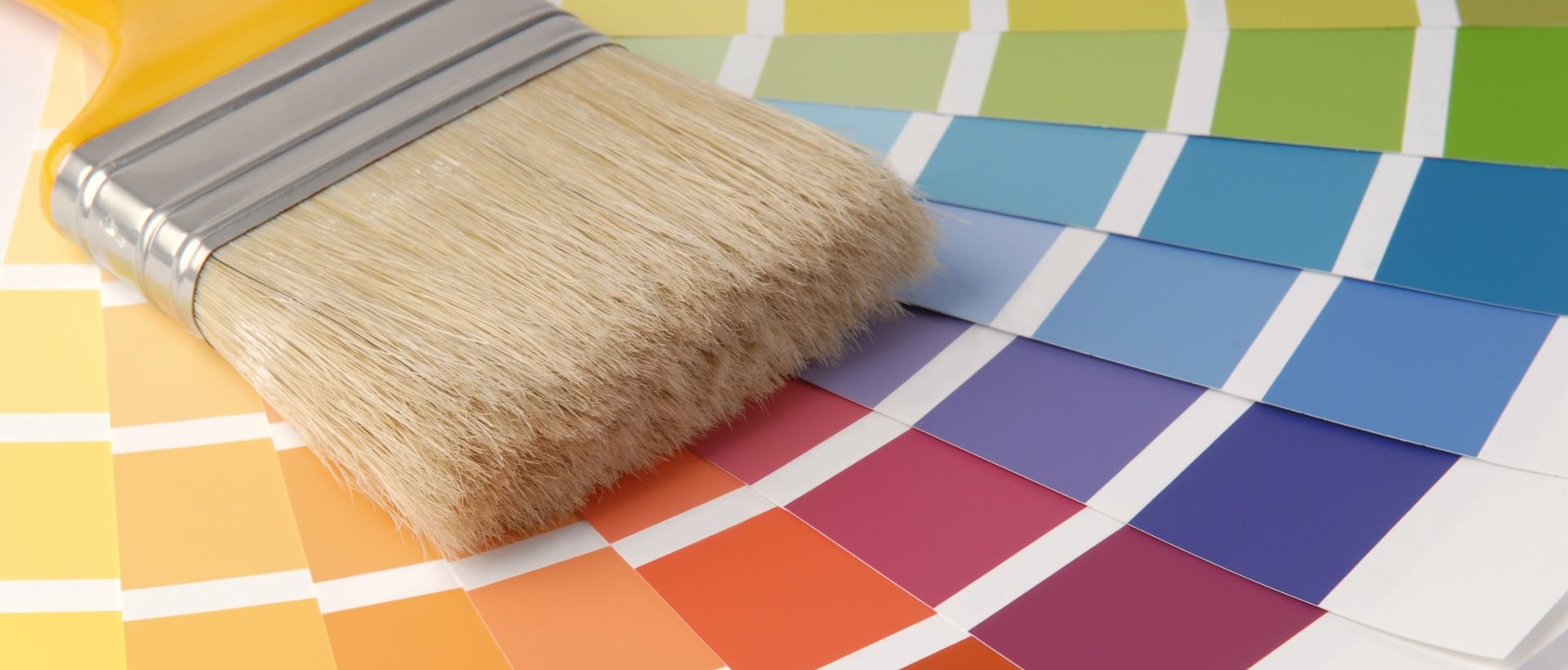 Painter W5